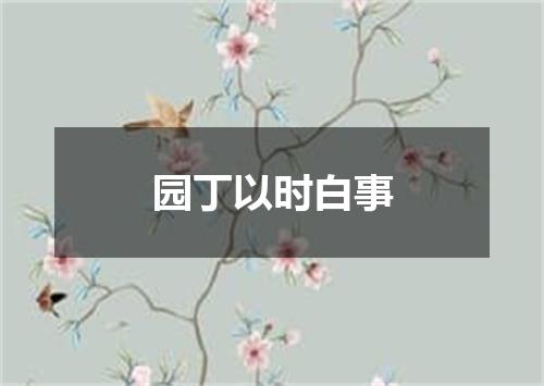 园丁以时白事