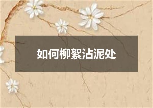 如何柳絮沾泥处