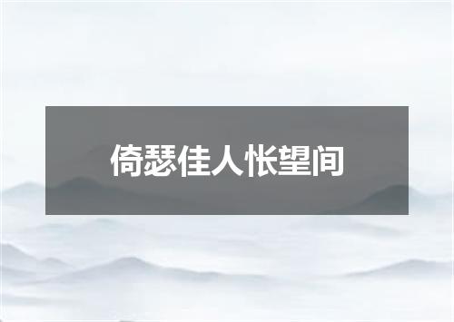 倚瑟佳人怅望间