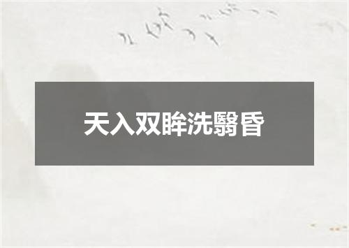 天入双眸洗翳昏