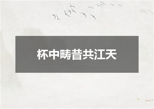 杯中畴昔共江天