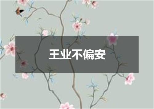 王业不偏安