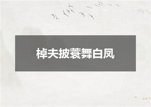 棹夫披蓑舞白凤