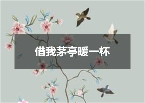 借我茅亭暖一杯