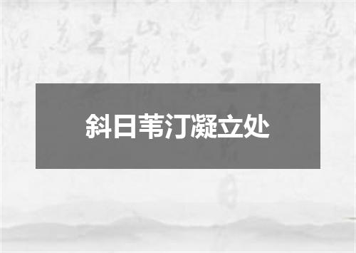 斜日苇汀凝立处