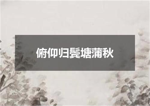 俯仰归鬓塘蒲秋