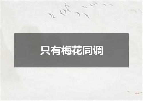 只有梅花同调