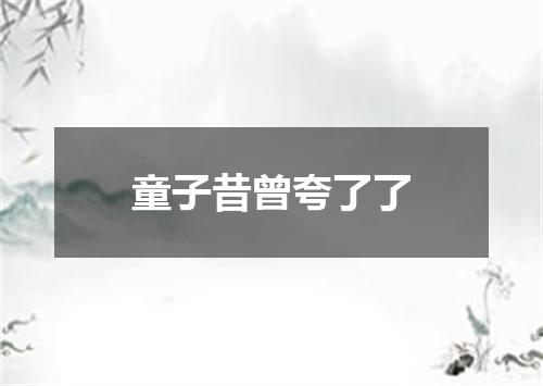 童子昔曾夸了了