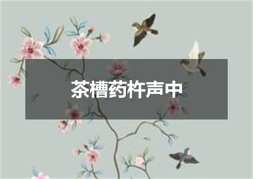 茶槽药杵声中