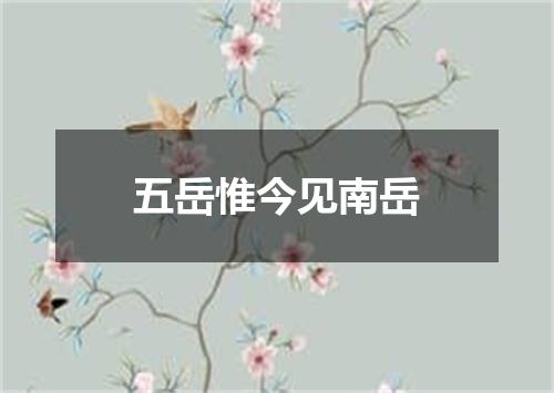 五岳惟今见南岳