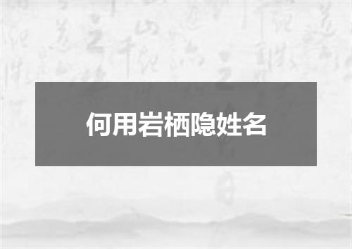何用岩栖隐姓名