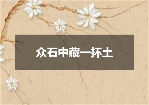 众石中藏一抔土