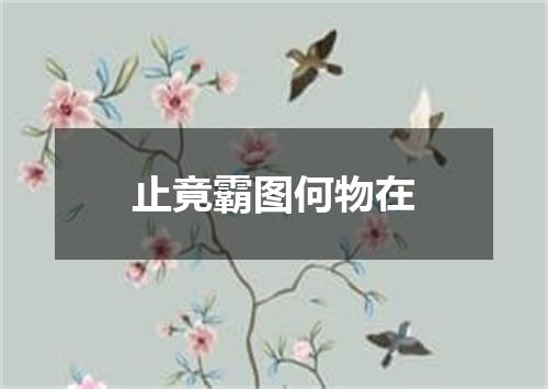 止竟霸图何物在