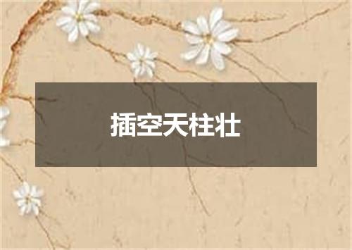 插空天柱壮