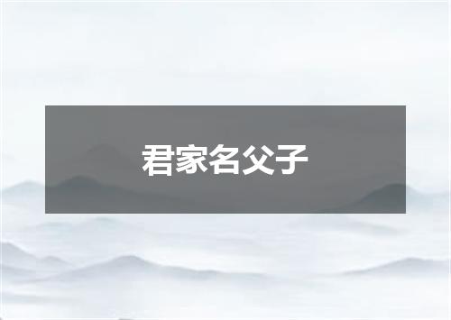 君家名父子
