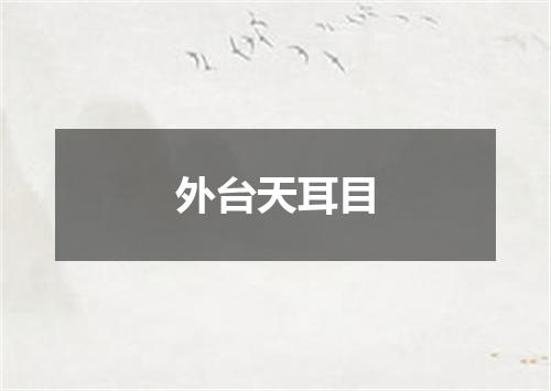 外台天耳目