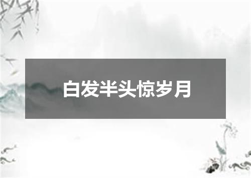 白发半头惊岁月
