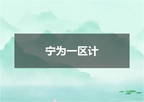 宁为一区计