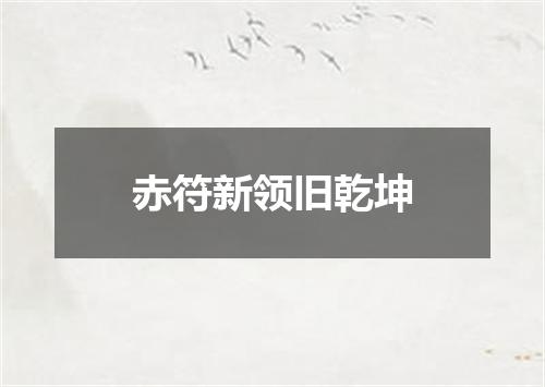 赤符新领旧乾坤