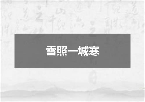 雪照一城寒