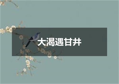 大渴遇甘井