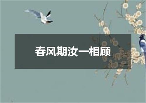 春风期汝一相顾