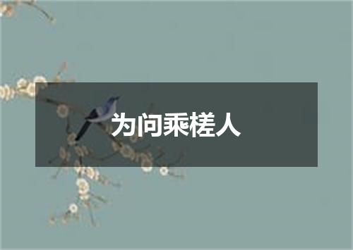 为问乘槎人