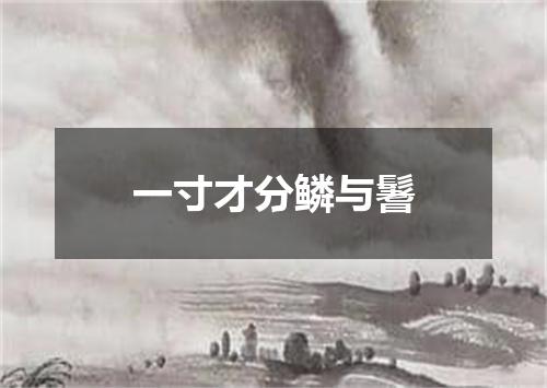 一寸才分鳞与鬐
