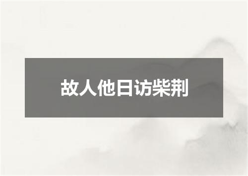 故人他日访柴荆