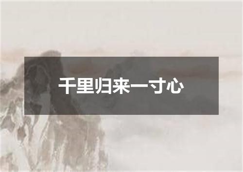 千里归来一寸心