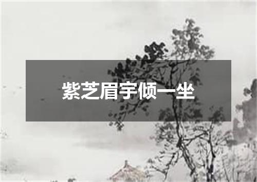 紫芝眉宇倾一坐