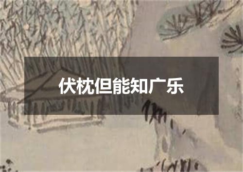 伏枕但能知广乐