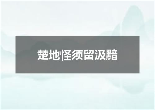 楚地怪须留汲黯