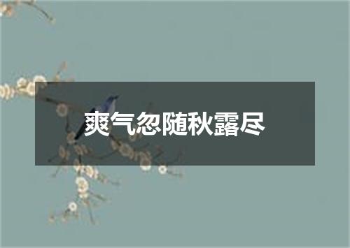 爽气忽随秋露尽