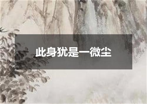 此身犹是一微尘