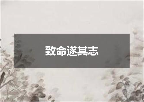 致命遂其志