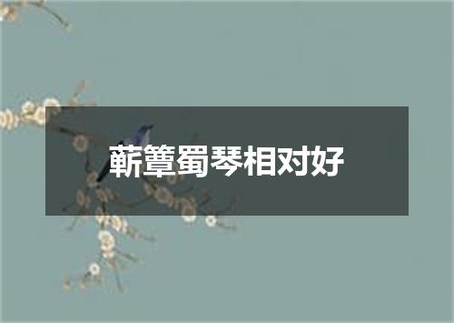 蕲簟蜀琴相对好