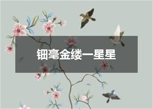 钿毫金缕一星星
