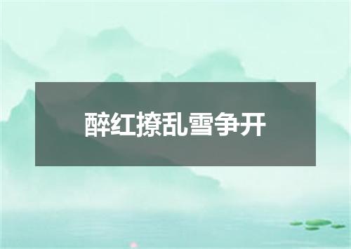 醉红撩乱雪争开