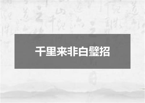 千里来非白璧招