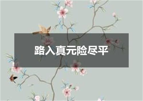 路入真元险尽平