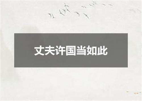 丈夫许国当如此