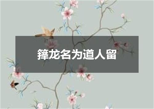 箨龙名为道人留