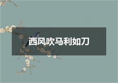 西风吹马利如刀