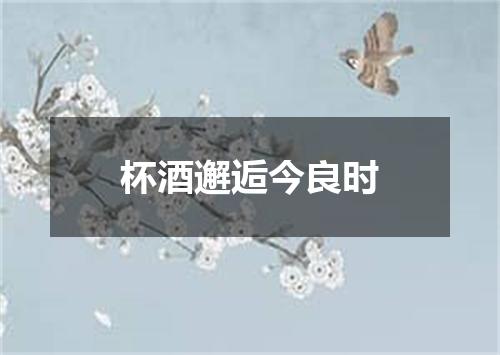杯酒邂逅今良时