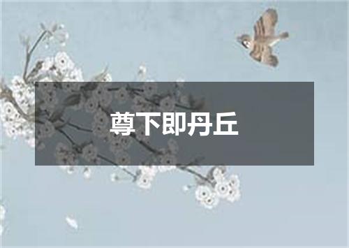 尊下即丹丘