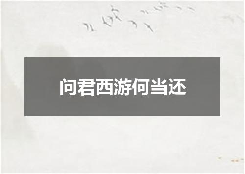 问君西游何当还