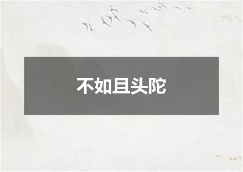 不如且头陀