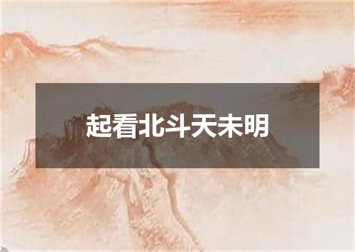 起看北斗天未明