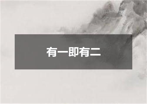 有一即有二